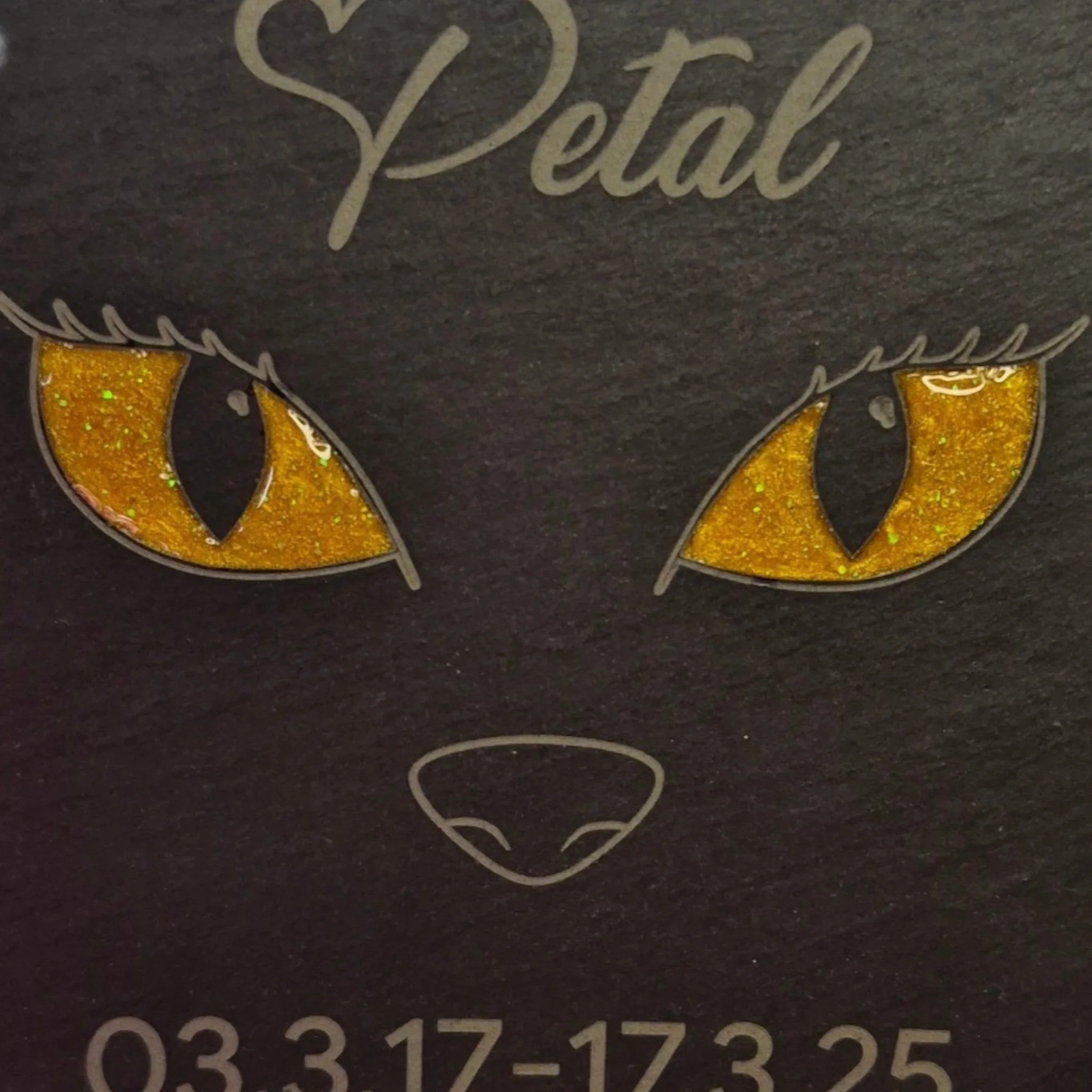 Cat Eyes Slate Memorial Plaque - Image 2